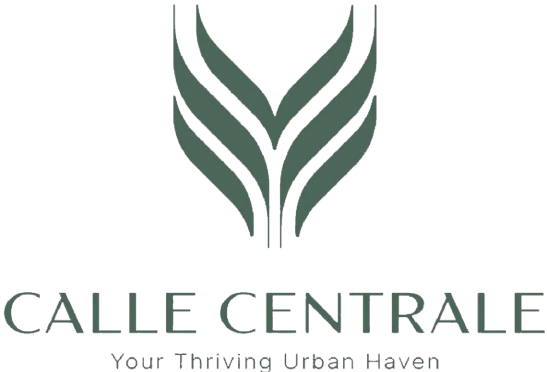 Calle Central LOGO green